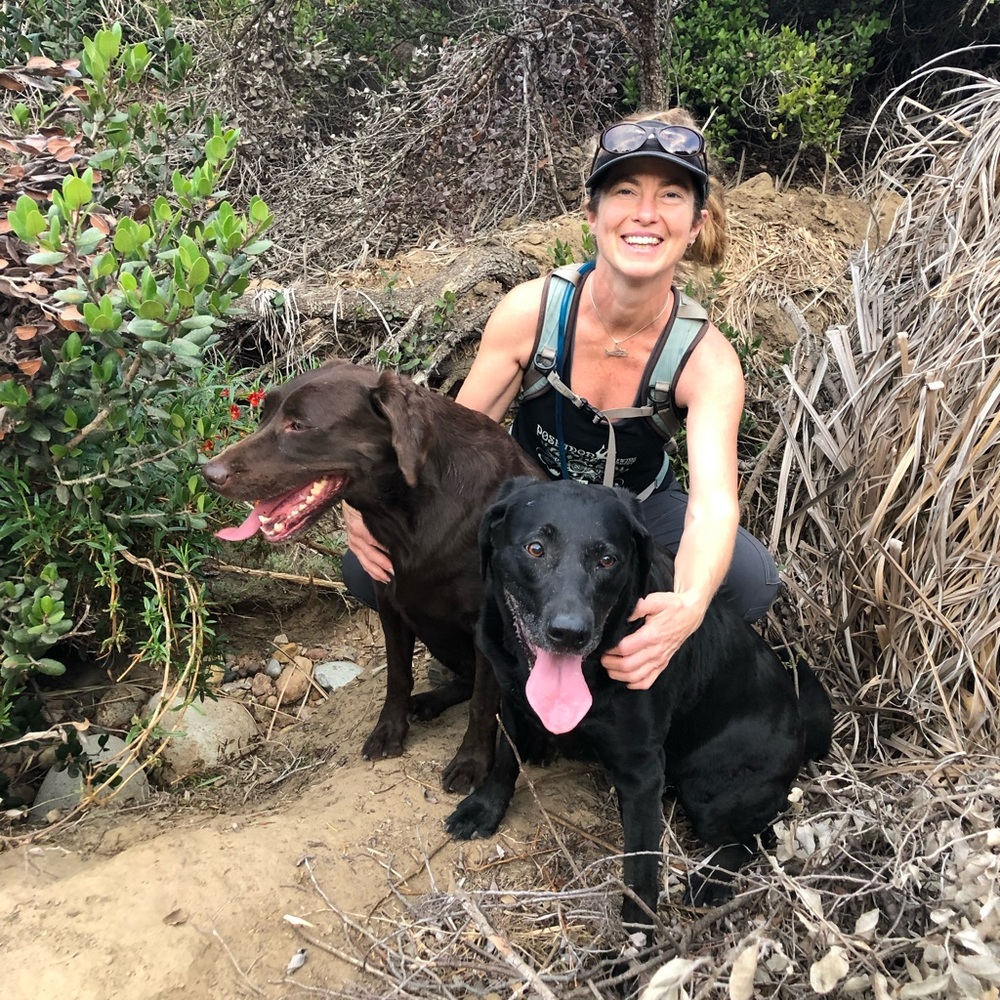 Meet your Posher, Dawn